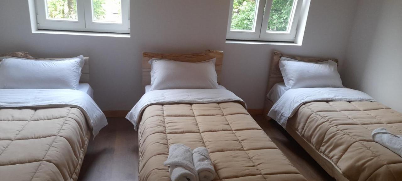Guesthouse Dritan Tethorja 세스 객실 사진