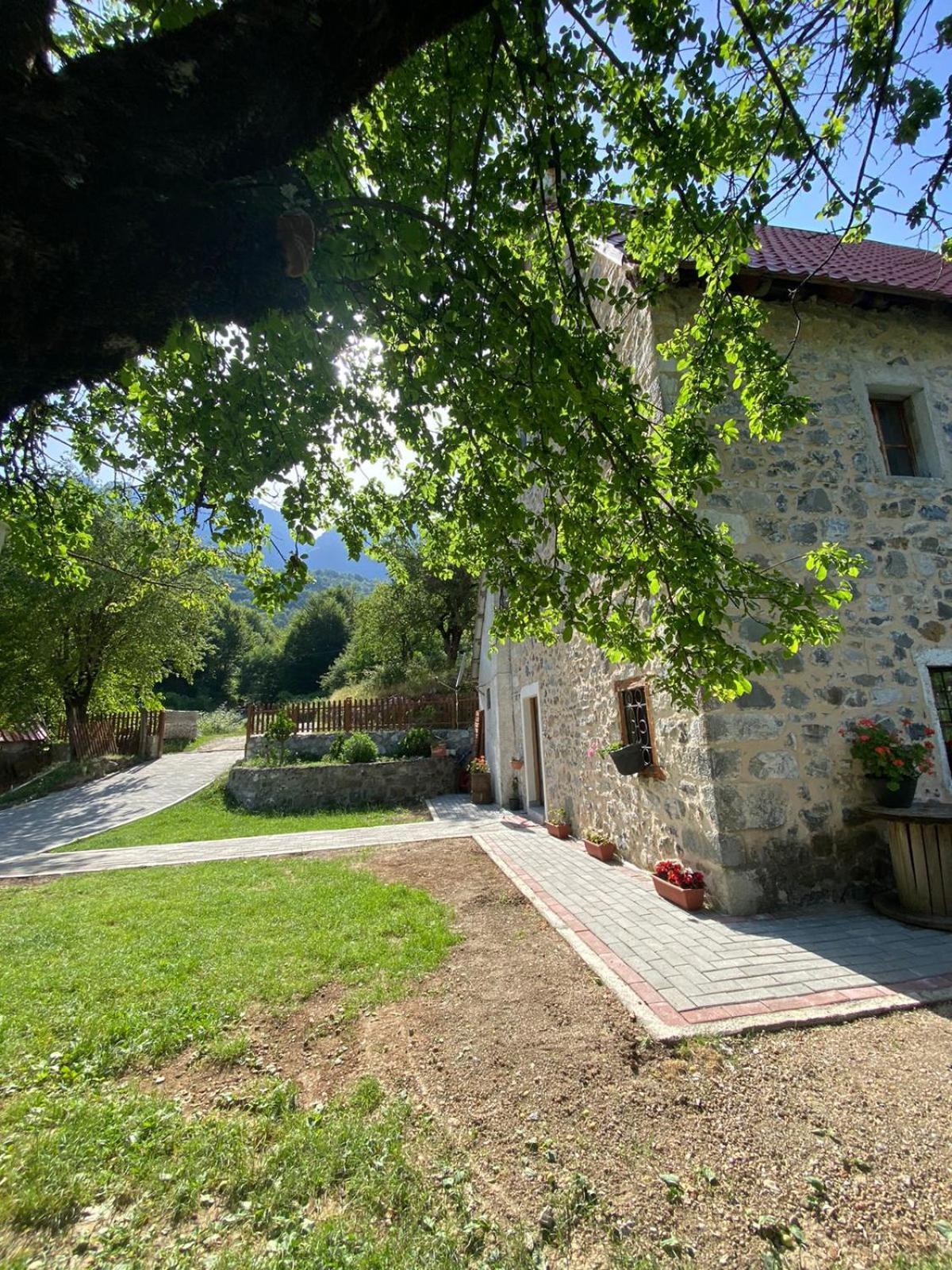 Guesthouse Dritan Tethorja 세스 외부 사진