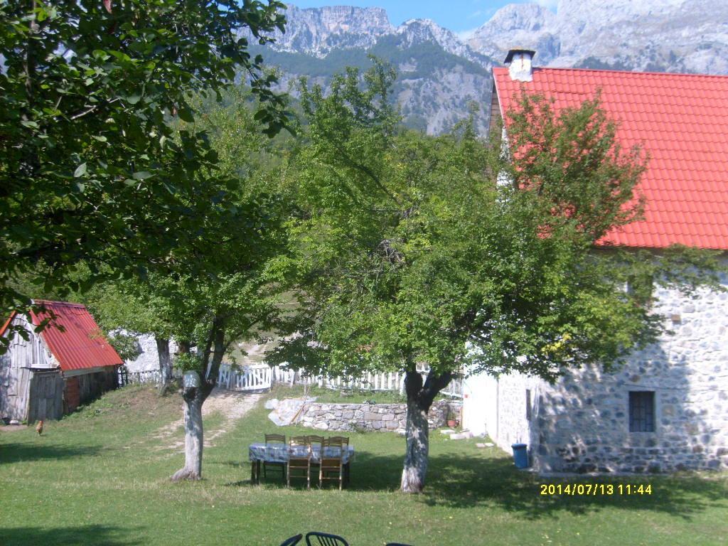 Guesthouse Dritan Tethorja 세스 외부 사진