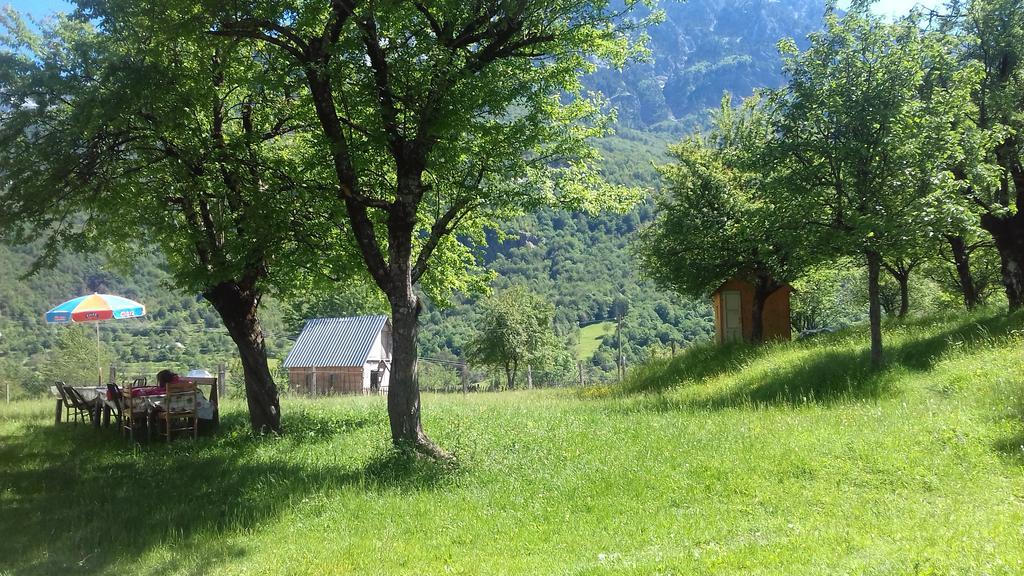 Guesthouse Dritan Tethorja 세스 외부 사진
