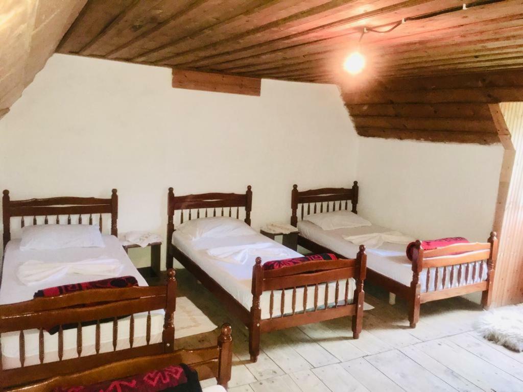 Guesthouse Dritan Tethorja 세스 외부 사진